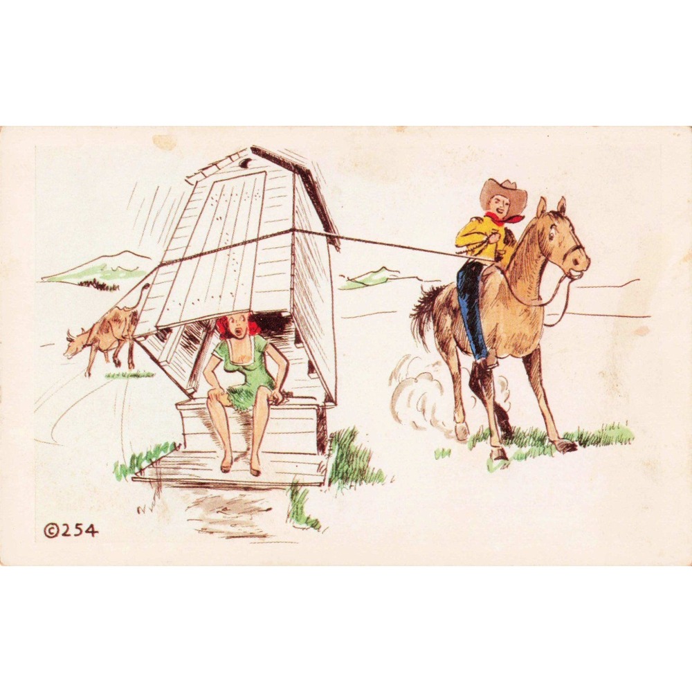 Vintage Kromekolor Comic Postcard Cowboy Outhouse Humor Noble Colorado Springs - Picture 1 of 2